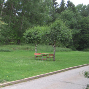 omradet-2